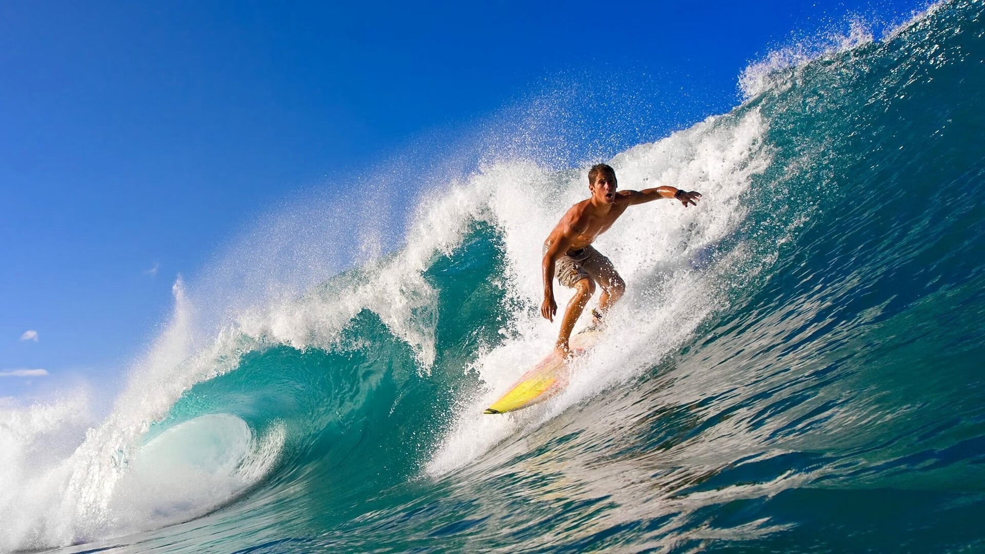 体育新闻中心推出高校体育创作者人才孵化机制,体育产业创新创业平台