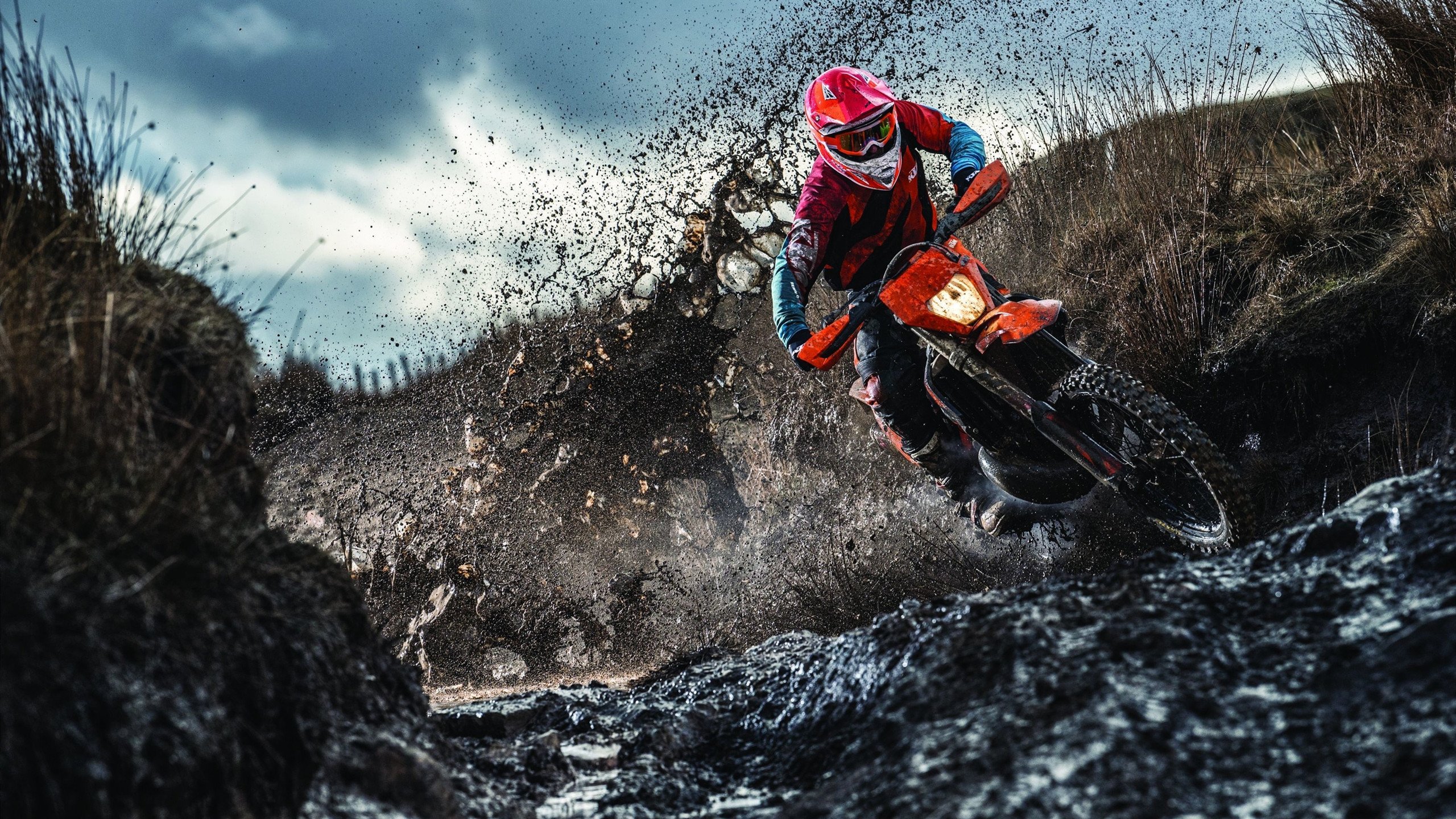 “萨尔·巴赫的爆发力，助力南非羚羊队破纪录”