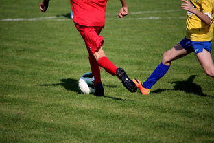 开云官网-中国足球俱乐部与国际知名足球学院合作，中国足球俱乐部和国家队