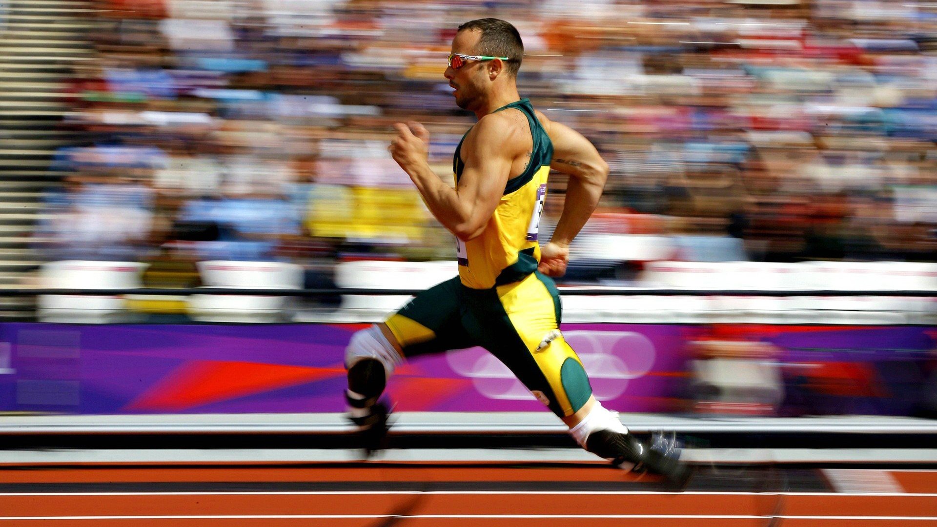 “雪原冠军：白色王者的荣耀战役”，白色雪原是什么短语类型